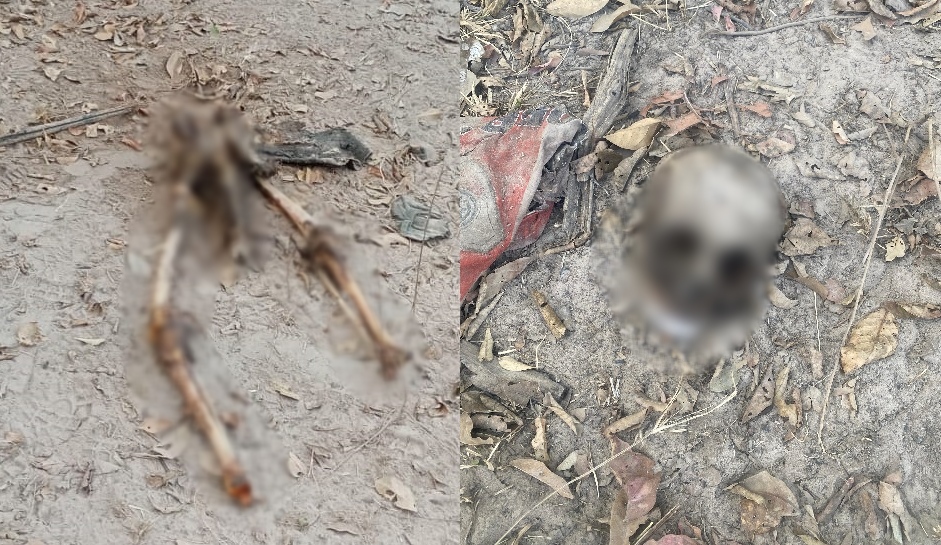 Ossada humana encontrada por populares em José de Freitas