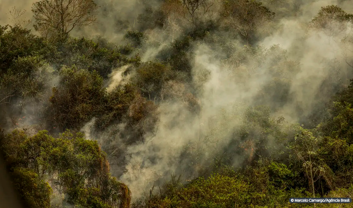 Incêndio no Pantanal