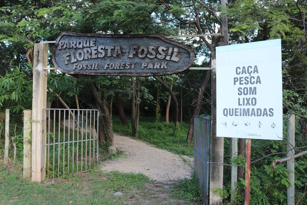 Parque Floresta Fóssil de Teresina