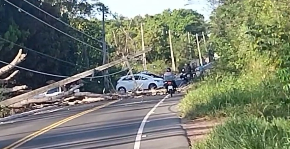 Postes caem e bloqueiam estrada que dá acesso ao povoado Cacimba Velha