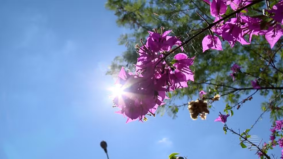 Primavera será de temperatura acima da média e volume de chuva abaixo do esperado na região