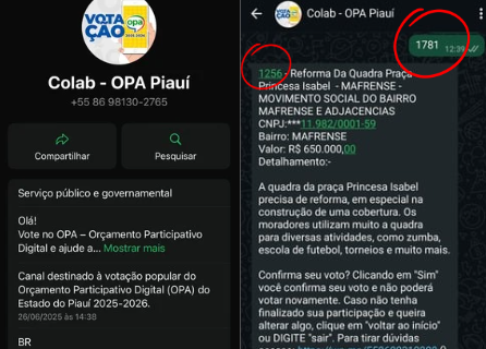 Usuários reclamaram que votavam em uma obra e aparecia uma opção diferente
