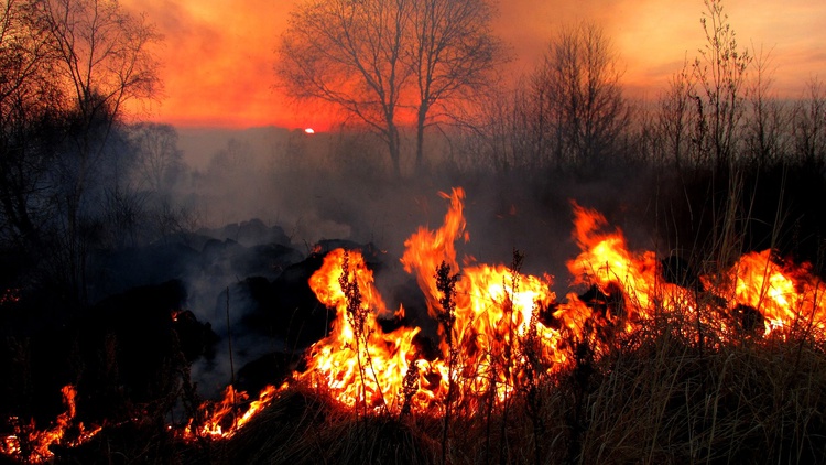 B-R-O BRÓ aumenta o risco de incêndios e queimadas florestais no Piauí