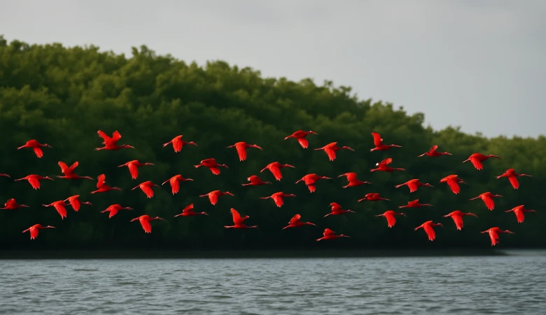 Rota reúne 14 municípios litorâneos e integra três unidades de conservação de relevância mundial