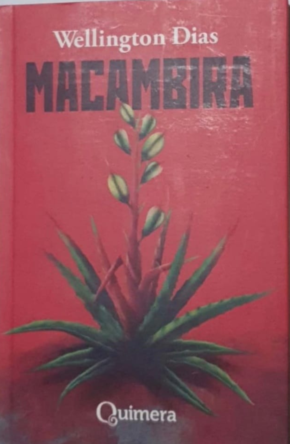 Macambira: primeiro livro