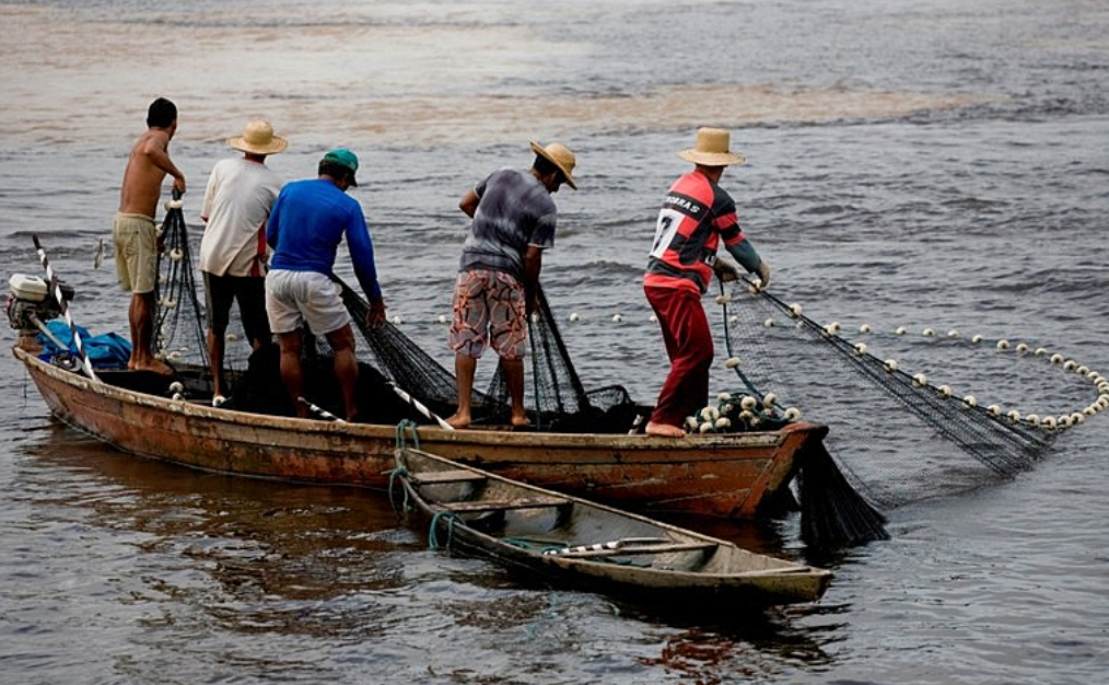 Pescadores recebem o Seguro Defeso todos os anos