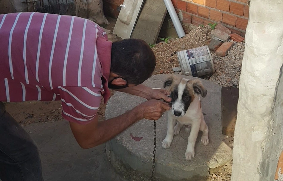 Cão é resgatado após sofrer maus tratos e porteiro é preso