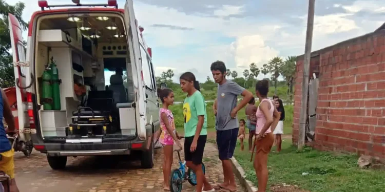 Mulher tenta salvar cachorro e morre afogada em Campo Maior