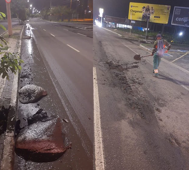 Fezes de animais são despejadas na avenida Raul Lopes