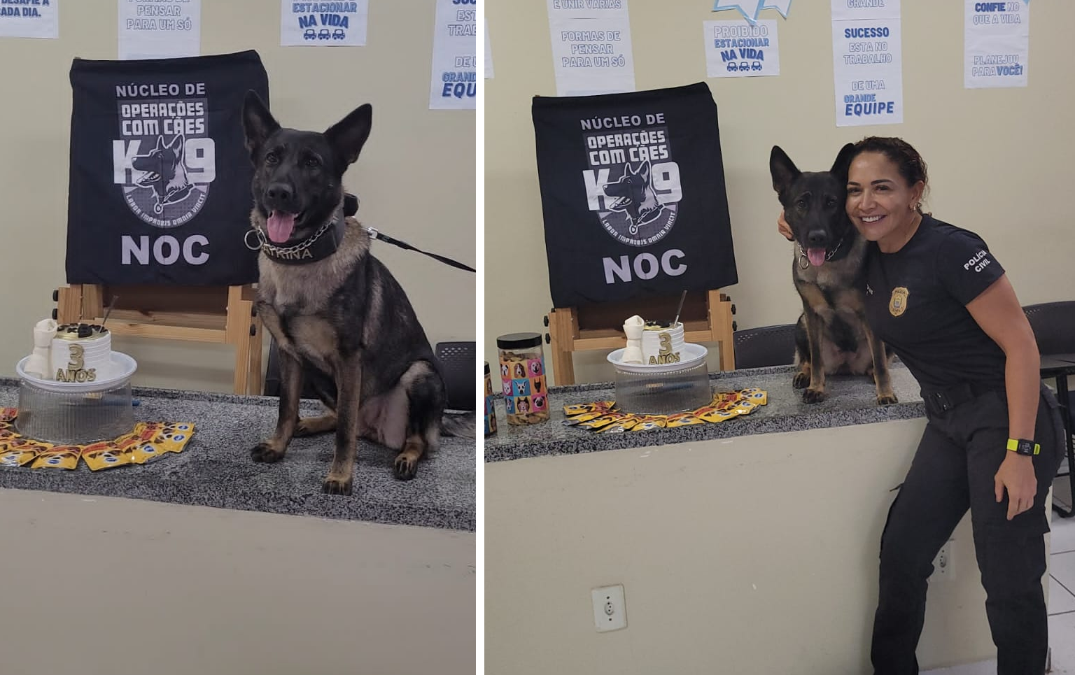 Cão policial ganha festa de aniversário