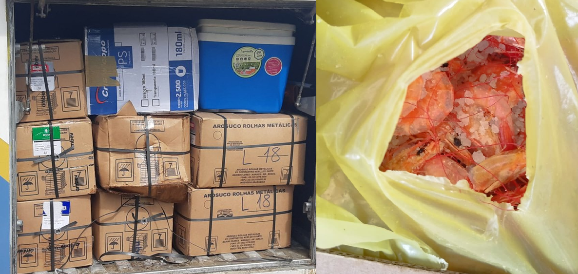 PRF apreende carga de 1,4 toneladas de camarão em Campo Maior