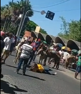 Manifestação dos carroceiros na avenida Maranhão