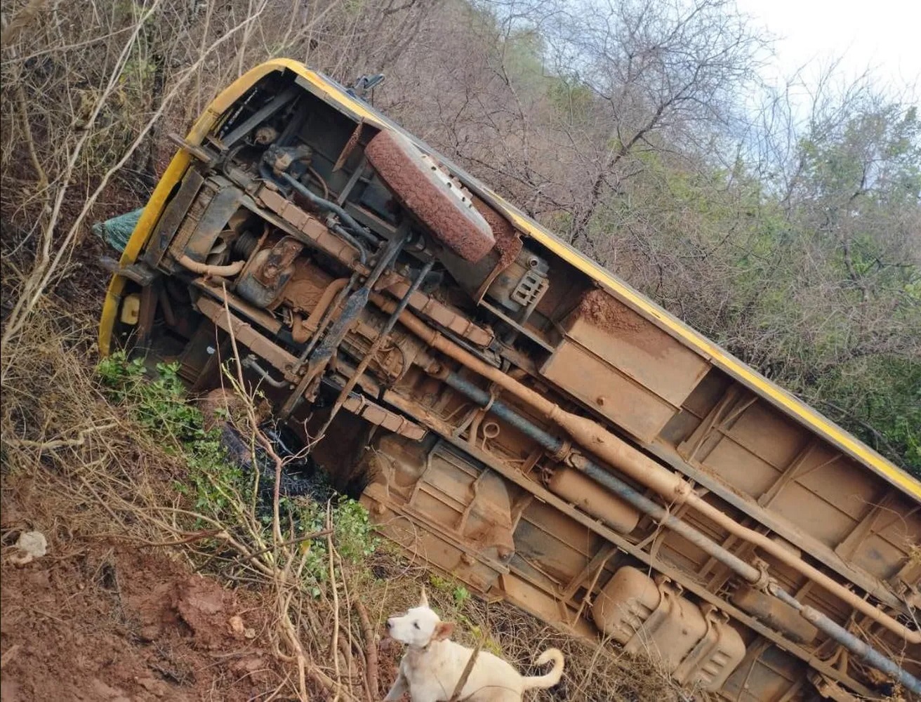 Ônibus escolar tombou na localidade Baixão do Mariano, zona Rural de Caracol
