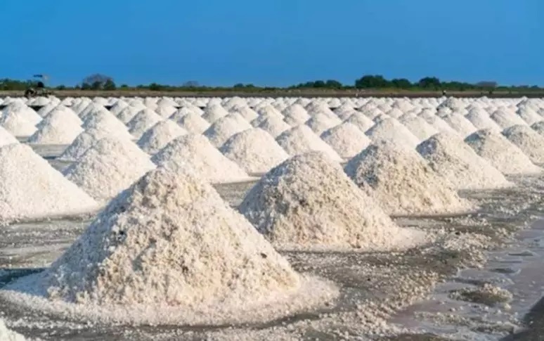 Maior jazida de sal da América Latina fica no estado do Espírito Santo, no Brasil