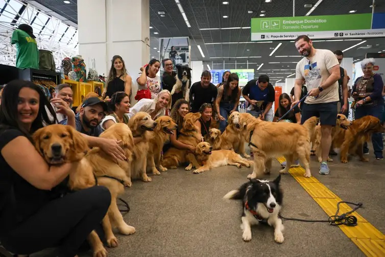 Tutores de cão da raça golden durante protesto no aeroporto de Brasília