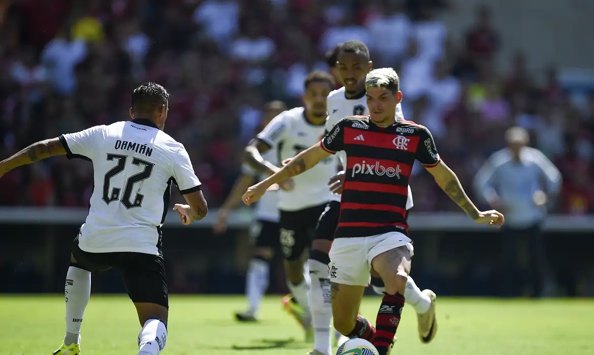 O Botafogo venceu o Flamengo por 2 a 0