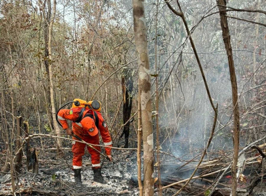 Corpo de Bombeiros combate incêndio próximo a usina solar em Ribeiro Gonçalves