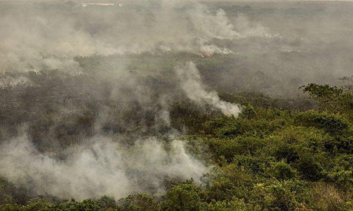 Incêndio florestal atinge o Tocantins