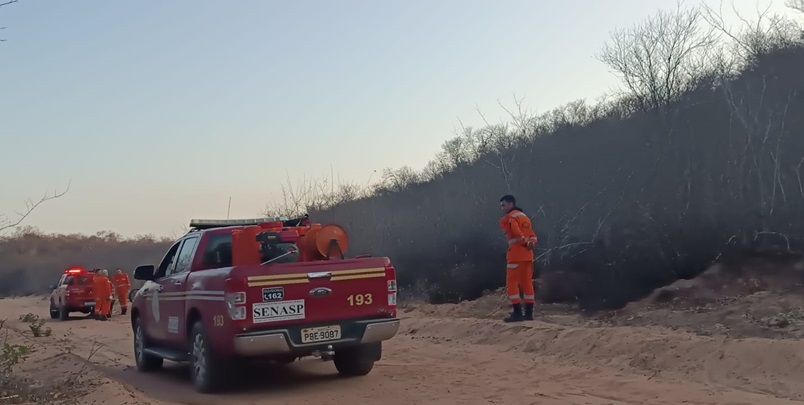 Incêndio florestal em Pedro Laurentino foi controlado por bombeiros e brigadistas