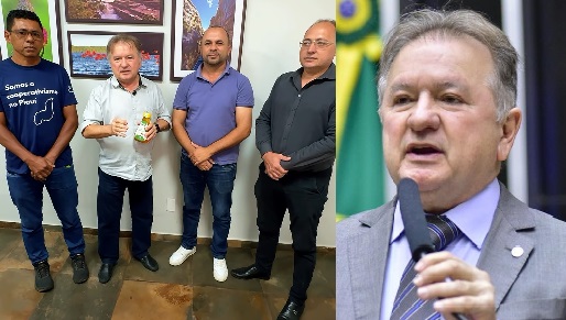 Merlong Solano recebe produtores de Mel e comemora crescimento da apicultura no Piauí