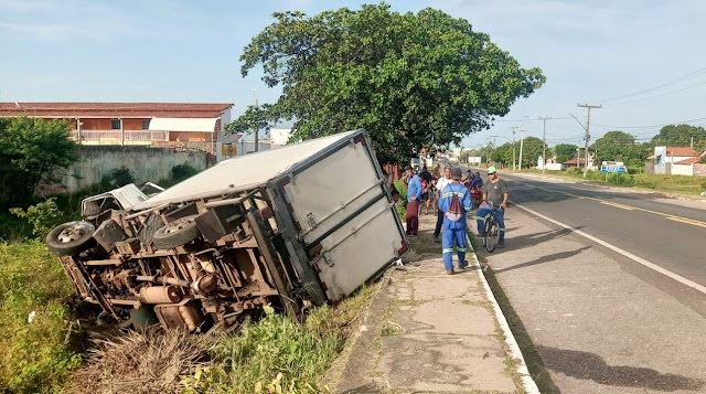 Caminhão que transportava pescados tombou na BR-343