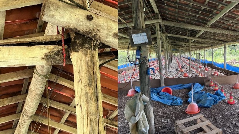 A granja apresenta risco de desabamento e há várias outras irregularidades