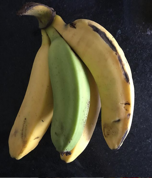 Bananas do mesmo cacho não amadurecem no mesmo tempo