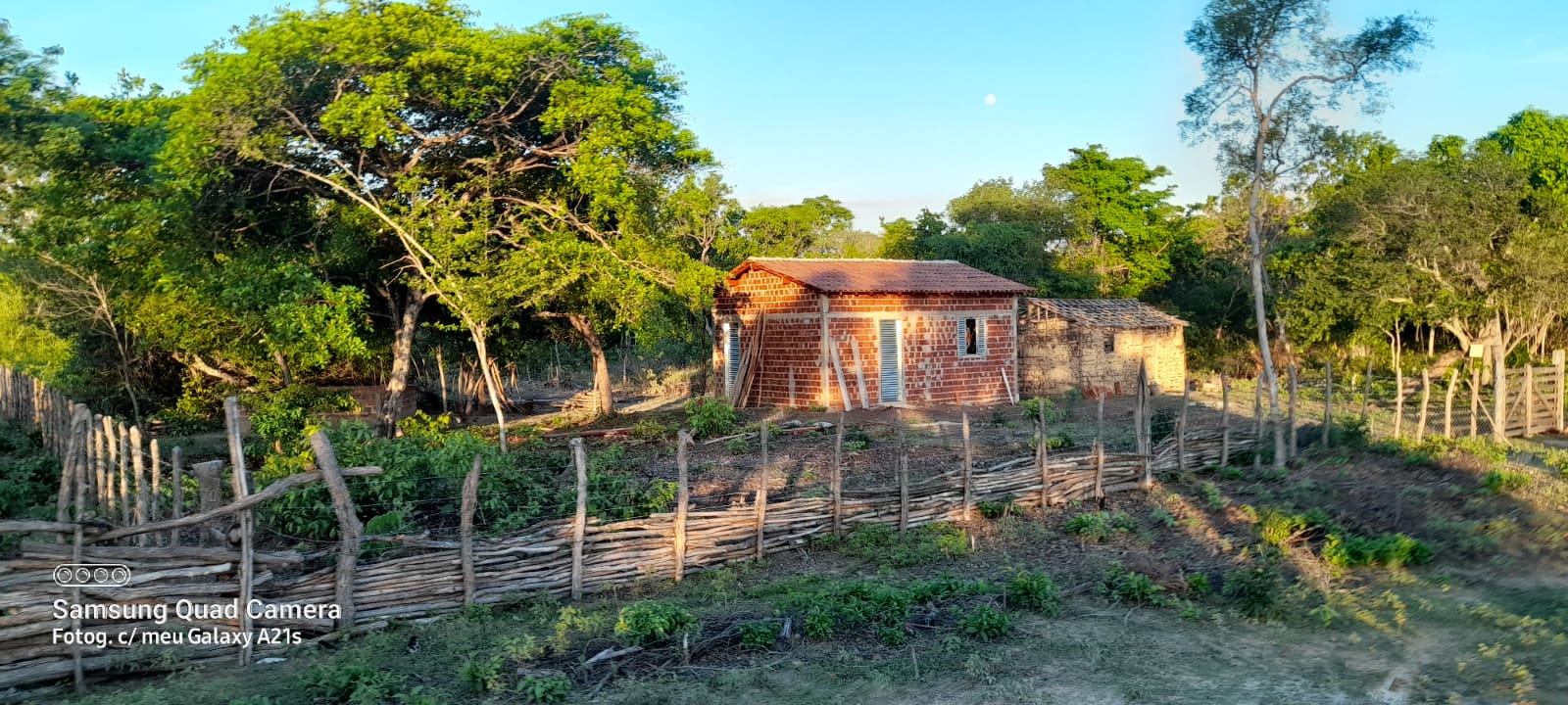 Famílias têm casas construídas em terreno