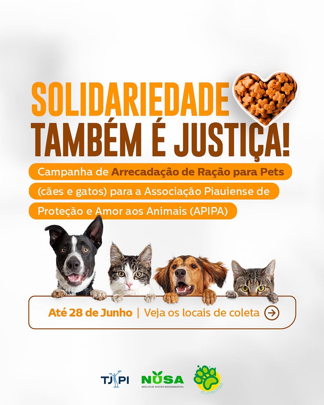 TJPI lança campanha de arrecadação de ração para cães e gatos
