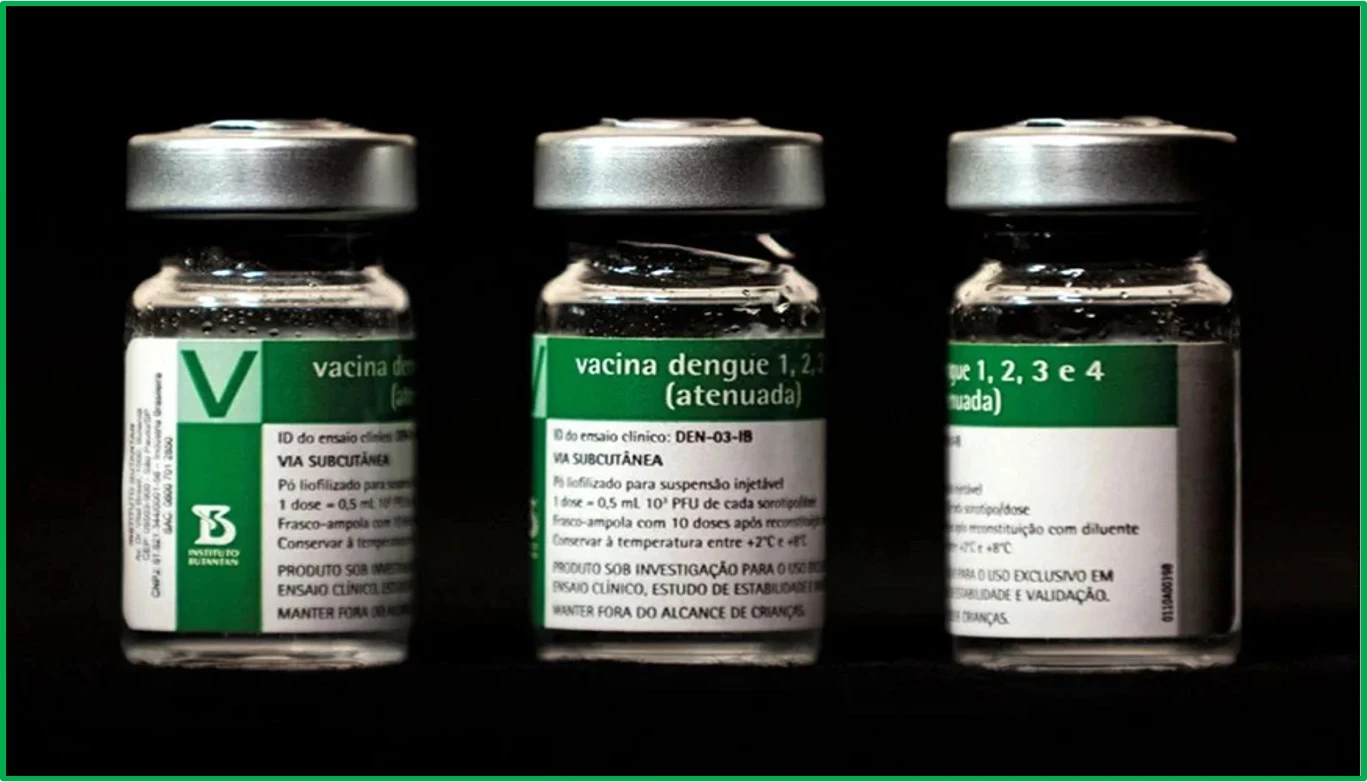 Vacina contra a dengue produzida pelo Instituto Butantan