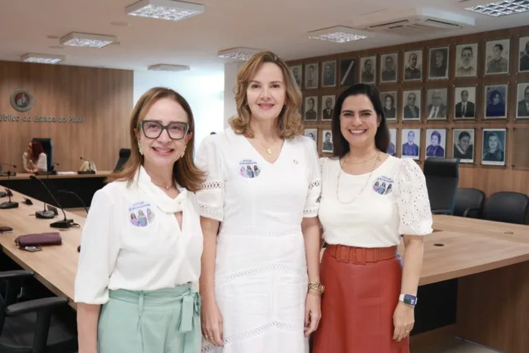 Três mulheres lideram votação para Procurador-Geral de Justiça do Piauí