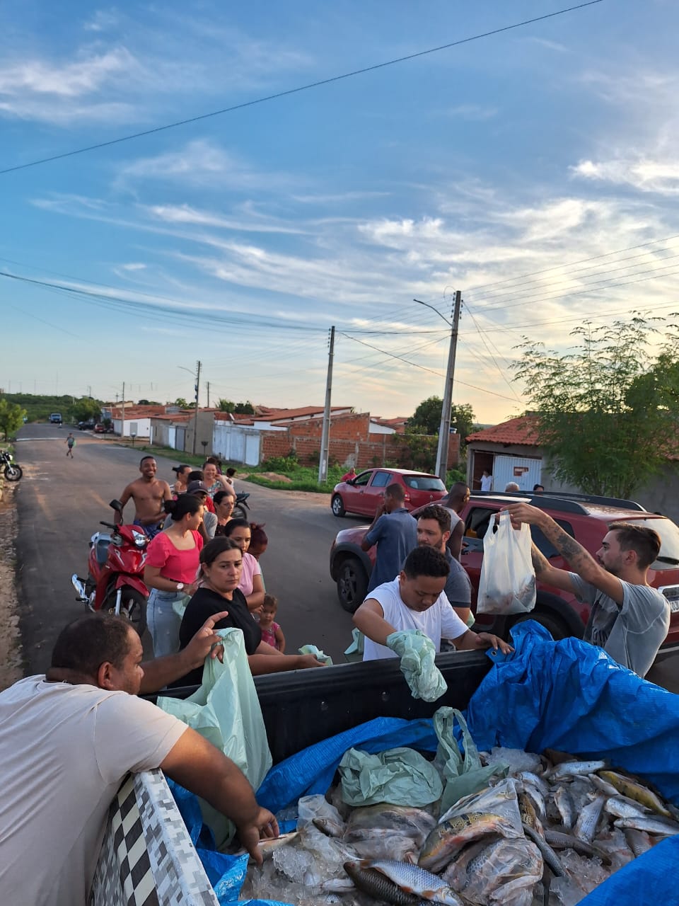 É apreendida cerca de meia tonelada de peixes em transporte irregular