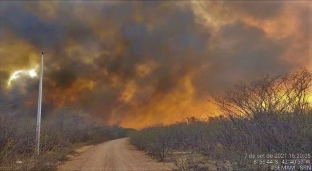 Incêndio de grandes proporções ameaça Serra da Capivara