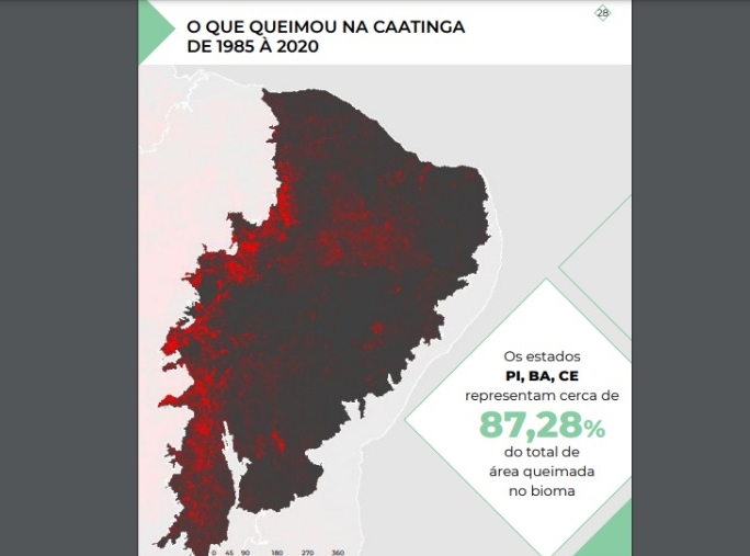 Piauí teve a maior área de caatinga queimada em 15 anos