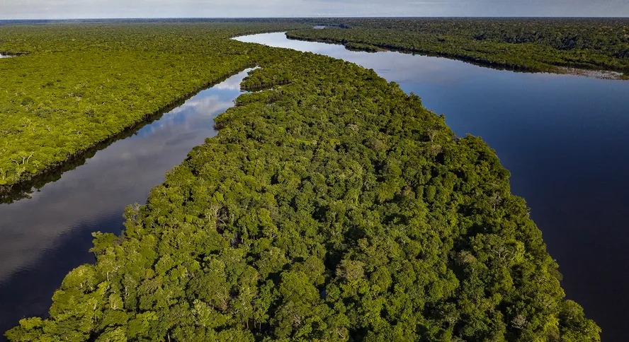 Trecho da Floresta Amazônica