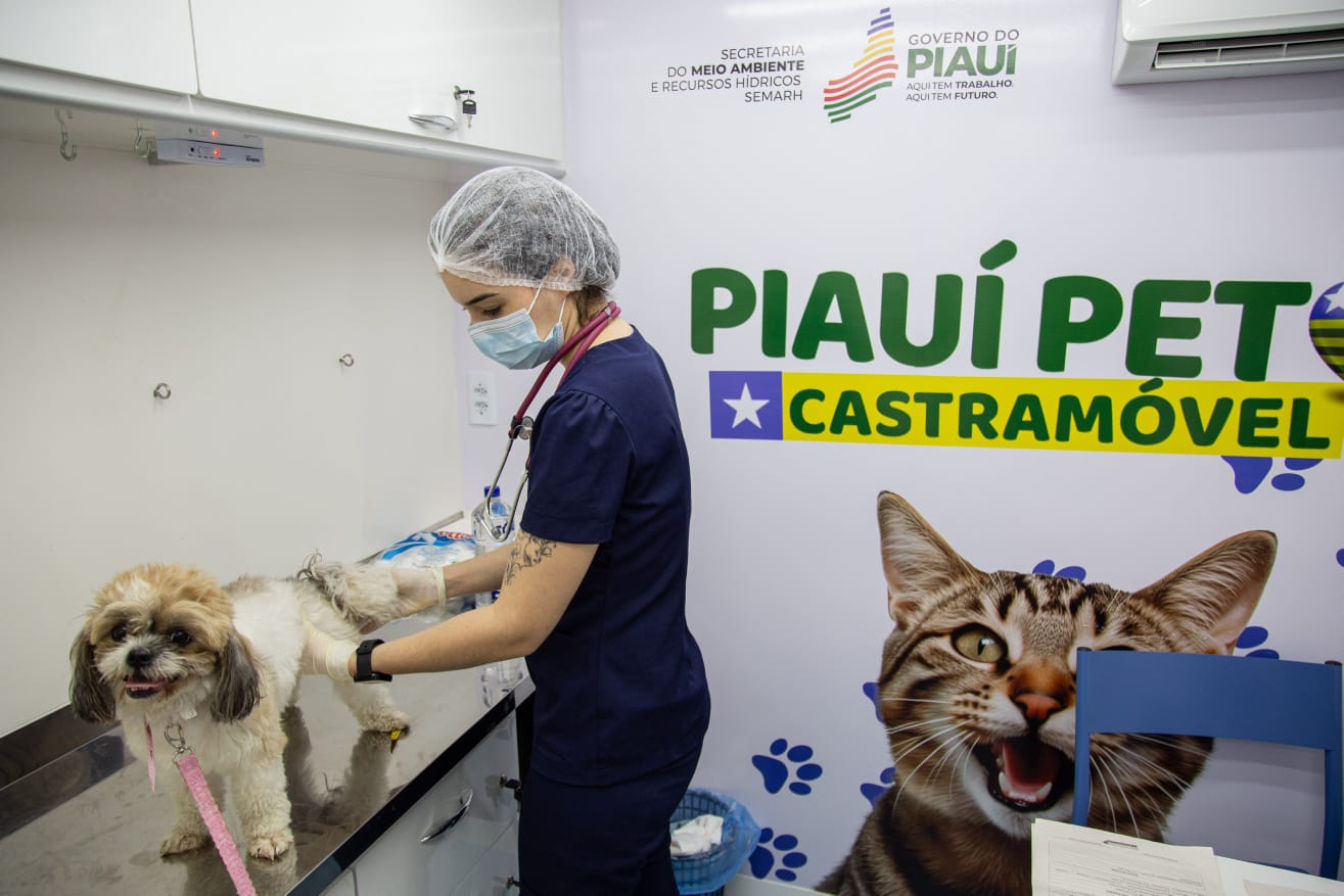 Em 2023, o Piauí Pet Castramóvel fez cerca de 1.500 cirurgias, somando os atendimentos em Teresina, Picos e Parnaíba.