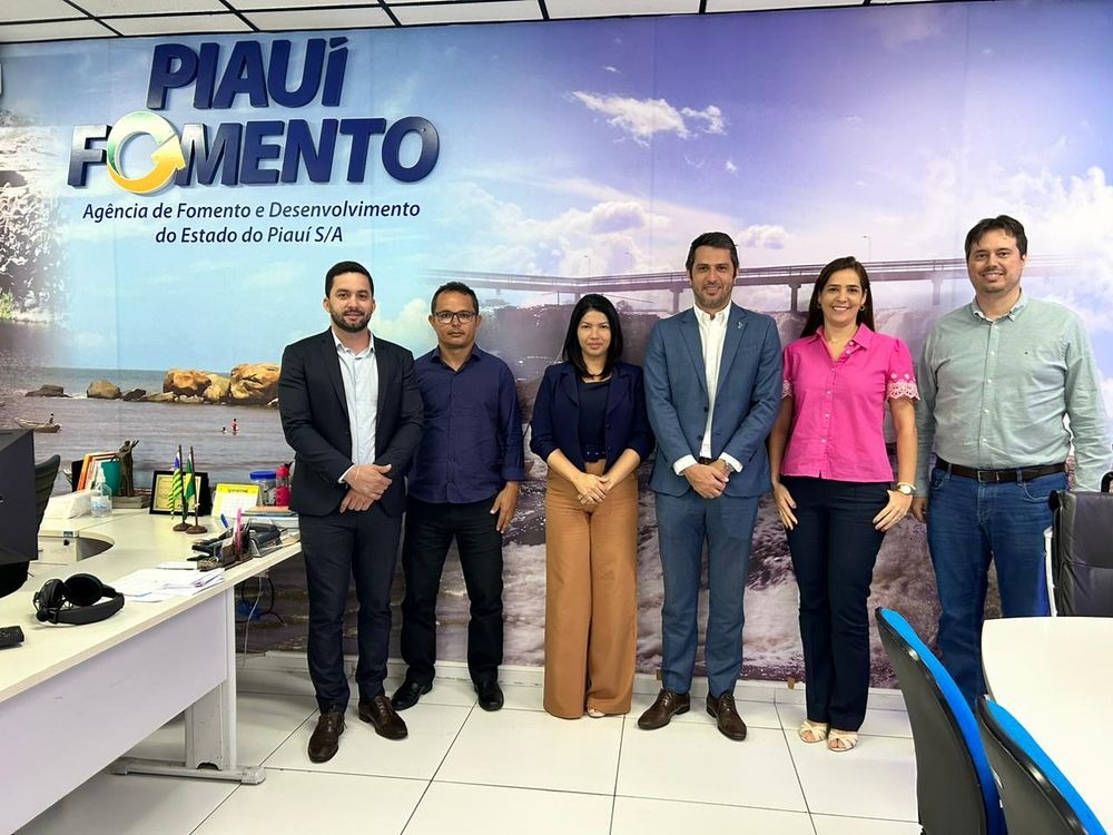 Piauí Fomento libera linhas de crédito para vários segmentos