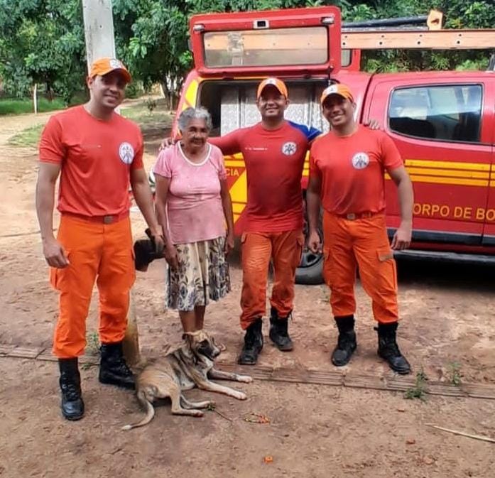 Cadela “Pintadinha” é resgatada de poço de 14 metros de profundidade em Teresina