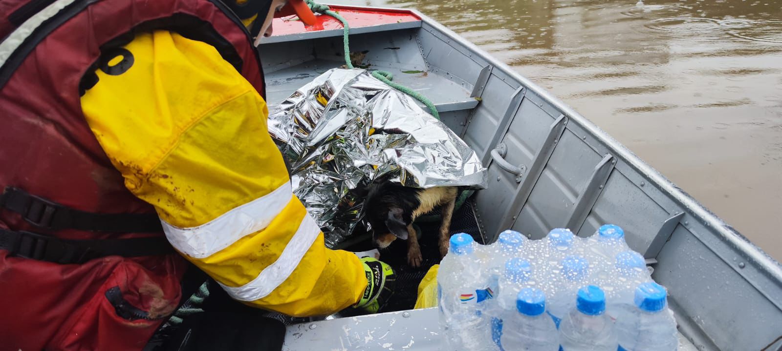 Bombeiros do Piauí resgatam animais no Rio Grande do Sul
