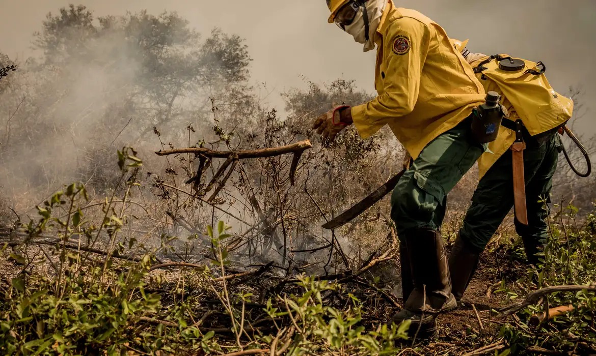 Incêndios no Pantanal