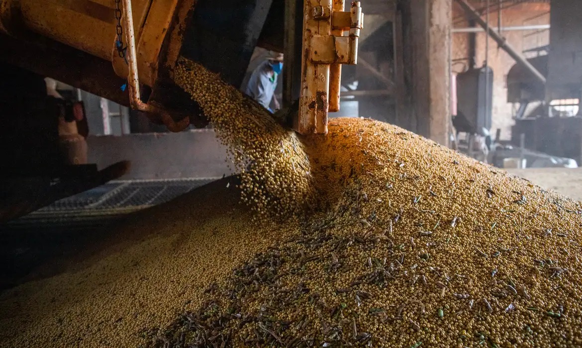 Valor da produção agrícola cai 2,3% em 2023