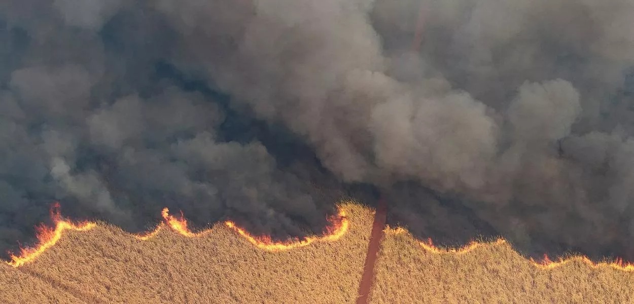 Incêndio em canavial de SP 24/08/2024