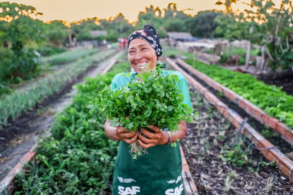 Técnicas agrícolas sustentáveis