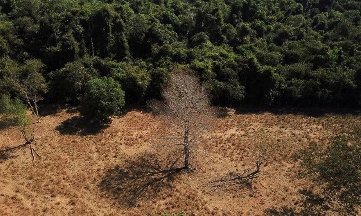 Desmatamento na Amazônia