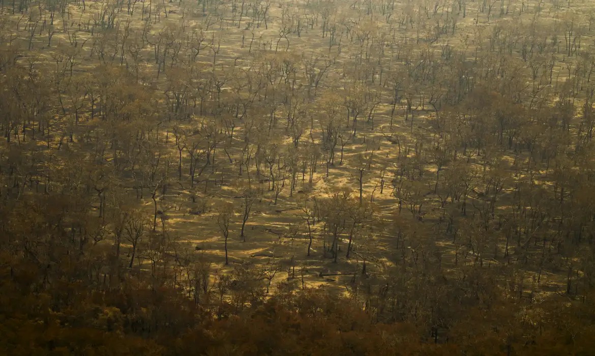 Incêndios e seca na Amazônia