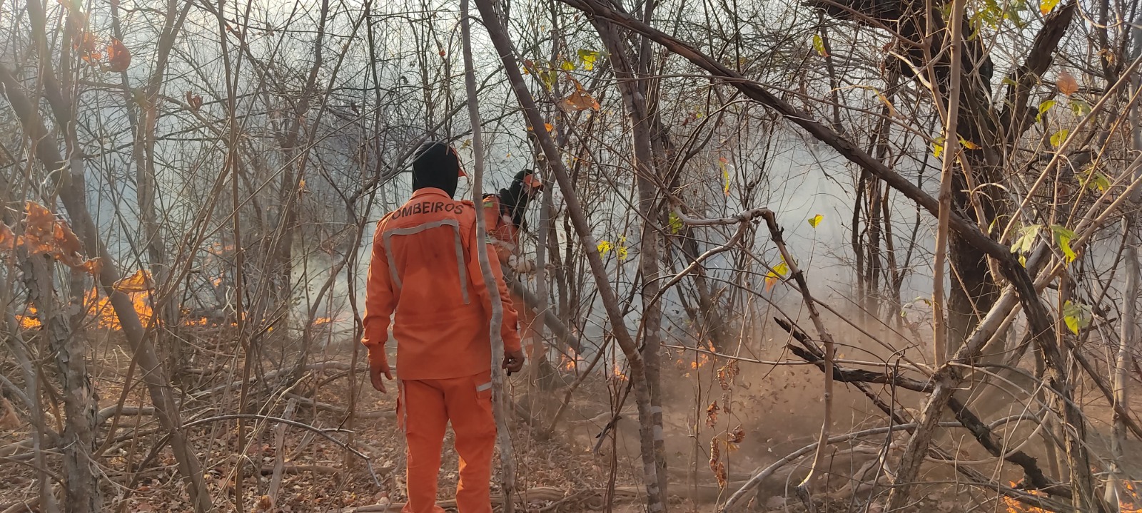 Corpo de Bombeiros combate incêndios florestais no Piauí