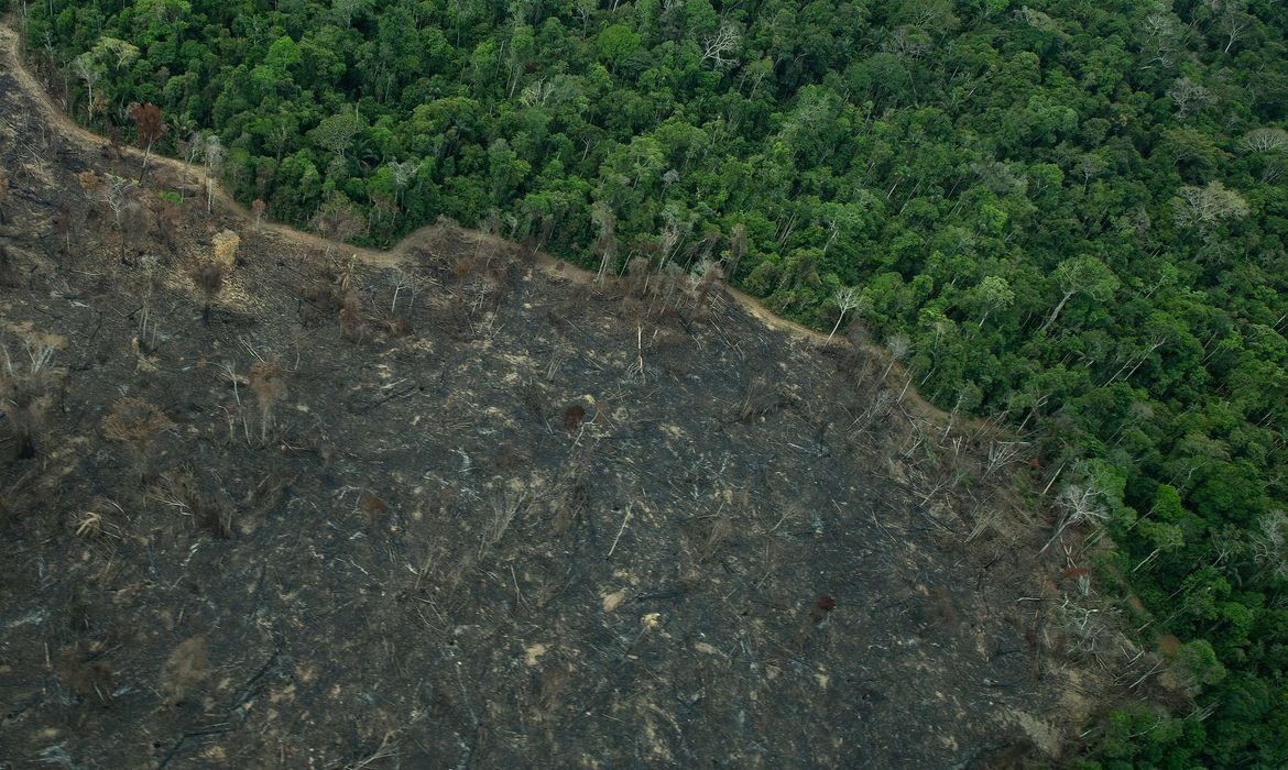 imagens mostram novas áreas de garimpo em TIs na Amazônia