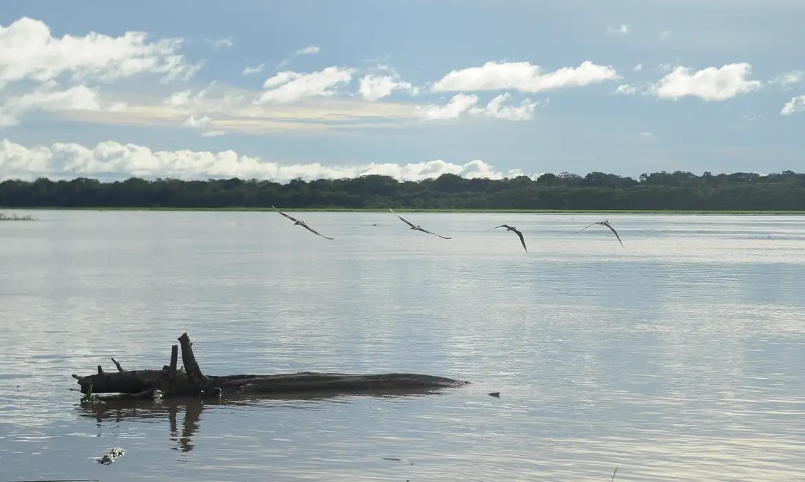 Auxílio é uma medida para atender as famílias de pescadores artesanais afetados pelas secas