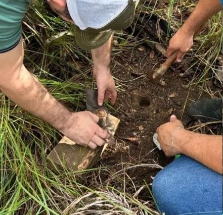 Uespi realiza pesquisa inédita para quantificação de carbono no Cerrado piauiense