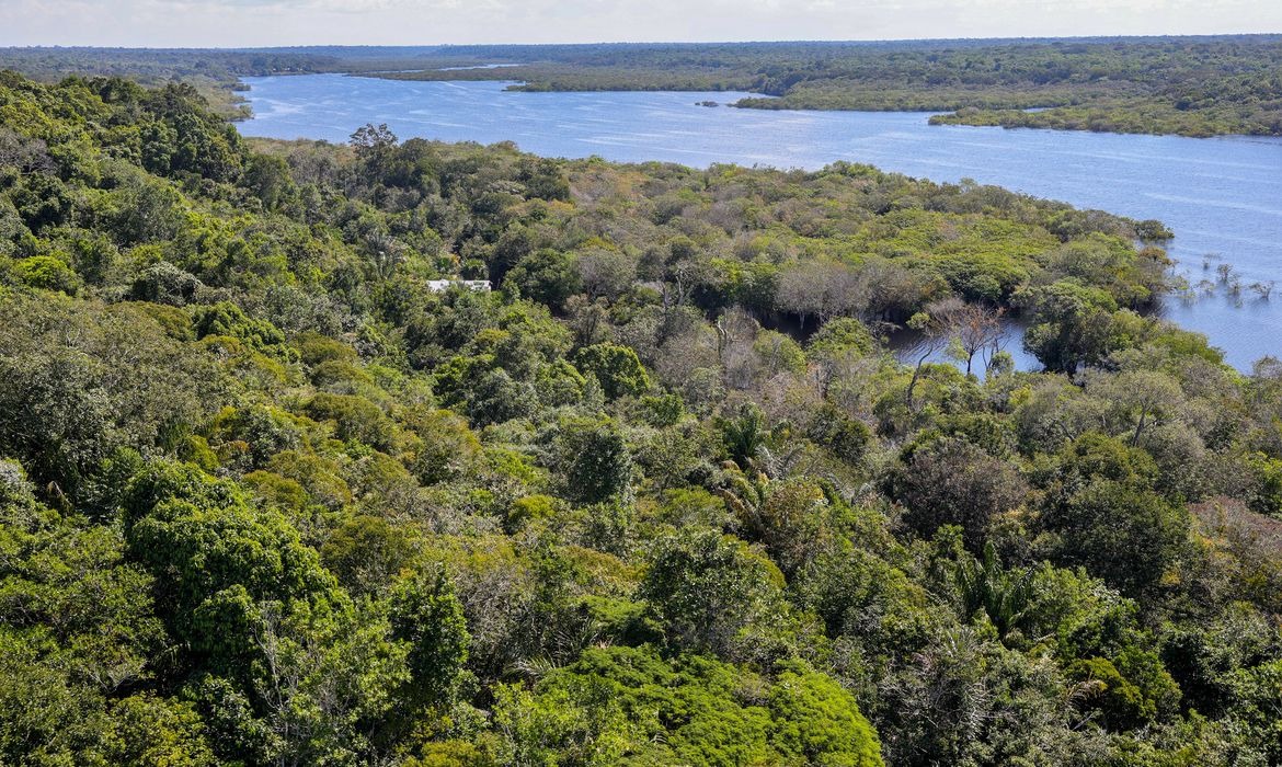 Amazônia